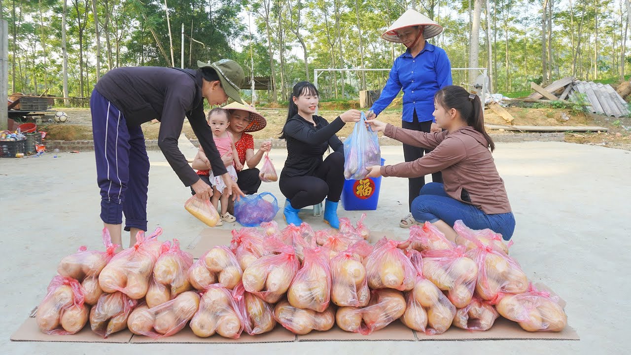 Harvesting Corn Goes To Sell At The Village Market - Catch Fish And Cooking | Hoang Thu Hoai