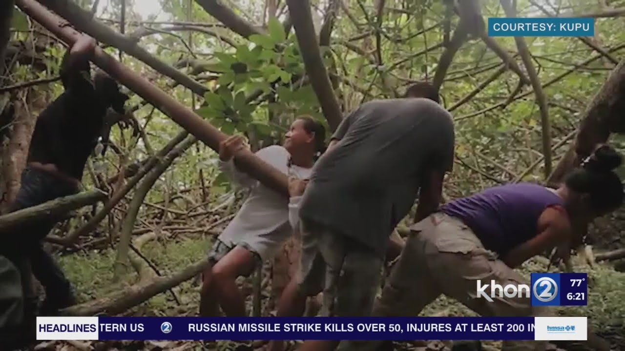 Kupu is Hawaii's leading conservation nonprofit and they are seeking applications