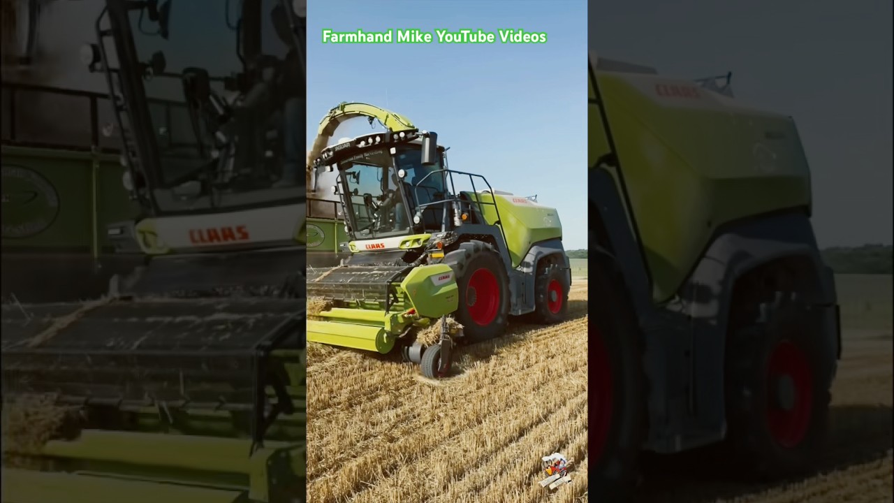 Chopping wheat straw with a Claas Jaguar 1200 forage harvester