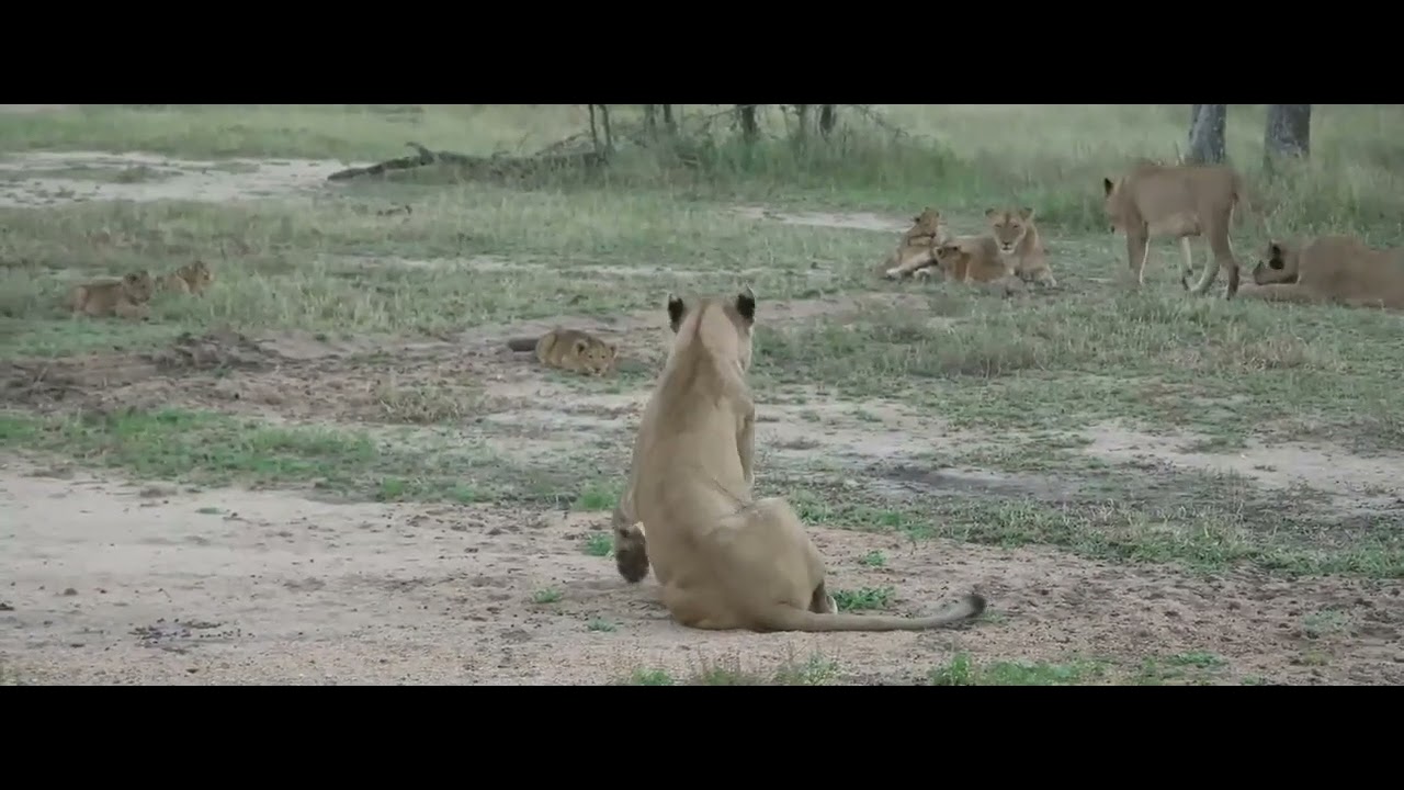 Nkuhuma Pride: Beautiful family