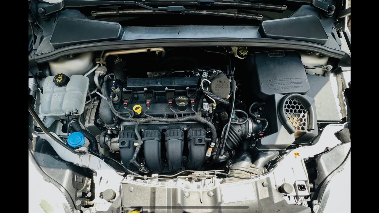 Coolant Overflow Expansion Line Replacement-MK3 Ford Focus