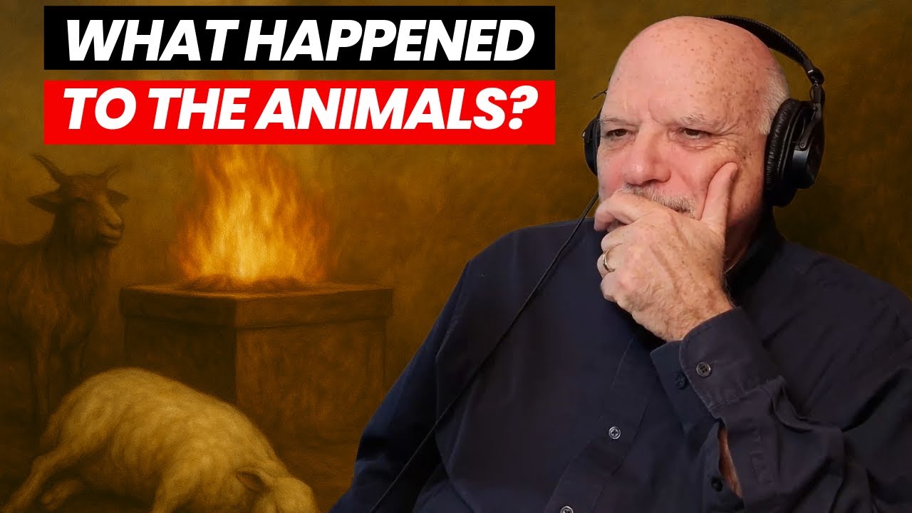 What Happened to All the Animals Sacrificed in the Old Testament?