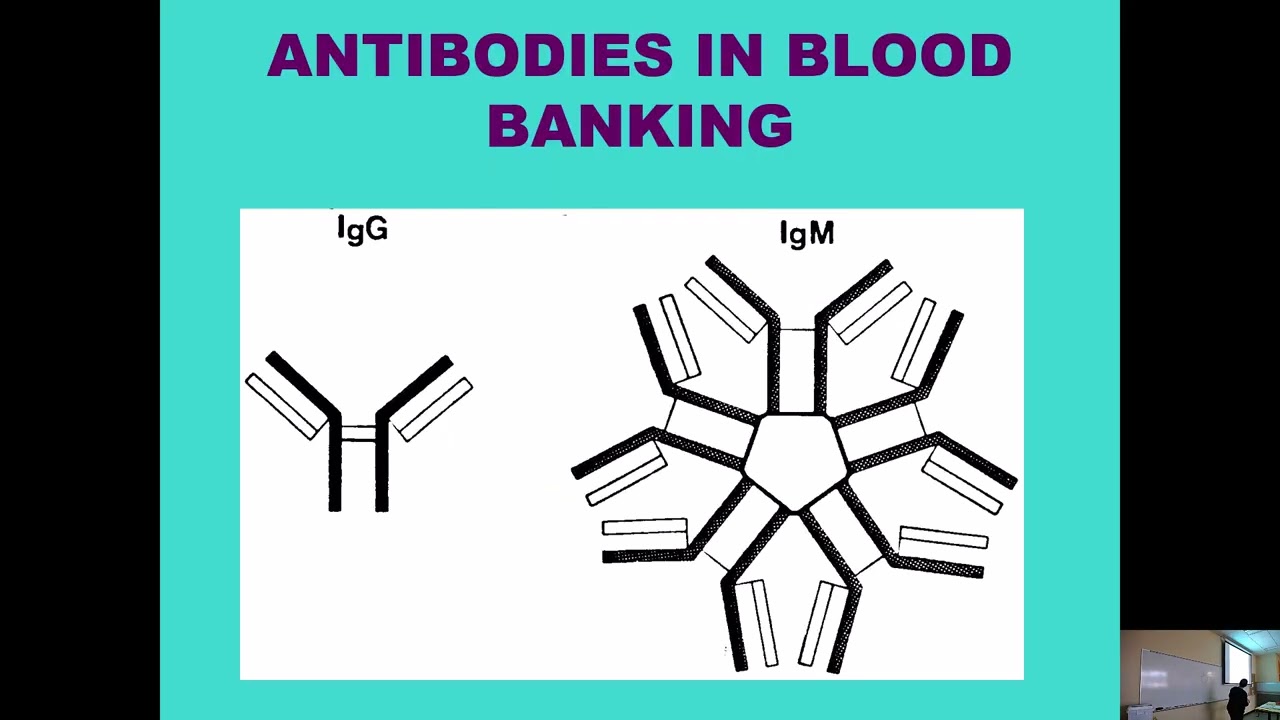 BB Lecture 2 Antigen and Antibody in Blood Banking