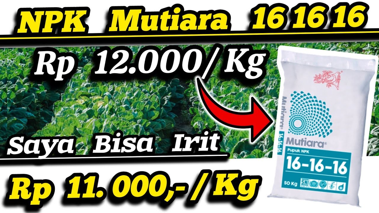 🔴 Racik Sendiri Pupuk NPK 16 16 16 ✅ Lebih Untung 3 X Lipat ‼️Urea Petro + TSP Meroke + Meroke MOP ✅