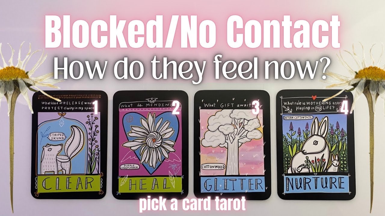 Pick A Card⋆☾⋆How Do They Feel? Blocked/No Contact/Boundary (Any Person/Timeless Tarot Reading)