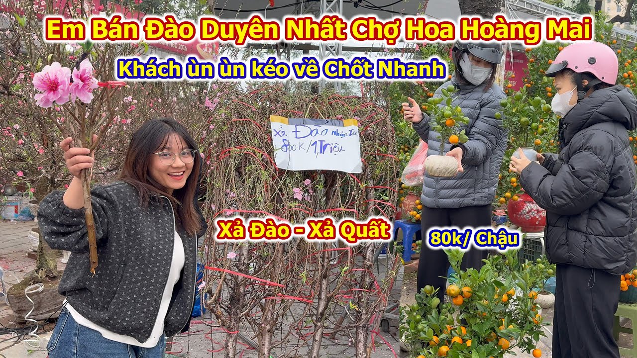 Dòng Người Ùn Ùn Kéo Về Chợ Hoa Xuân Hoàng Mai Chốt Đào Quất Ầm Ầm