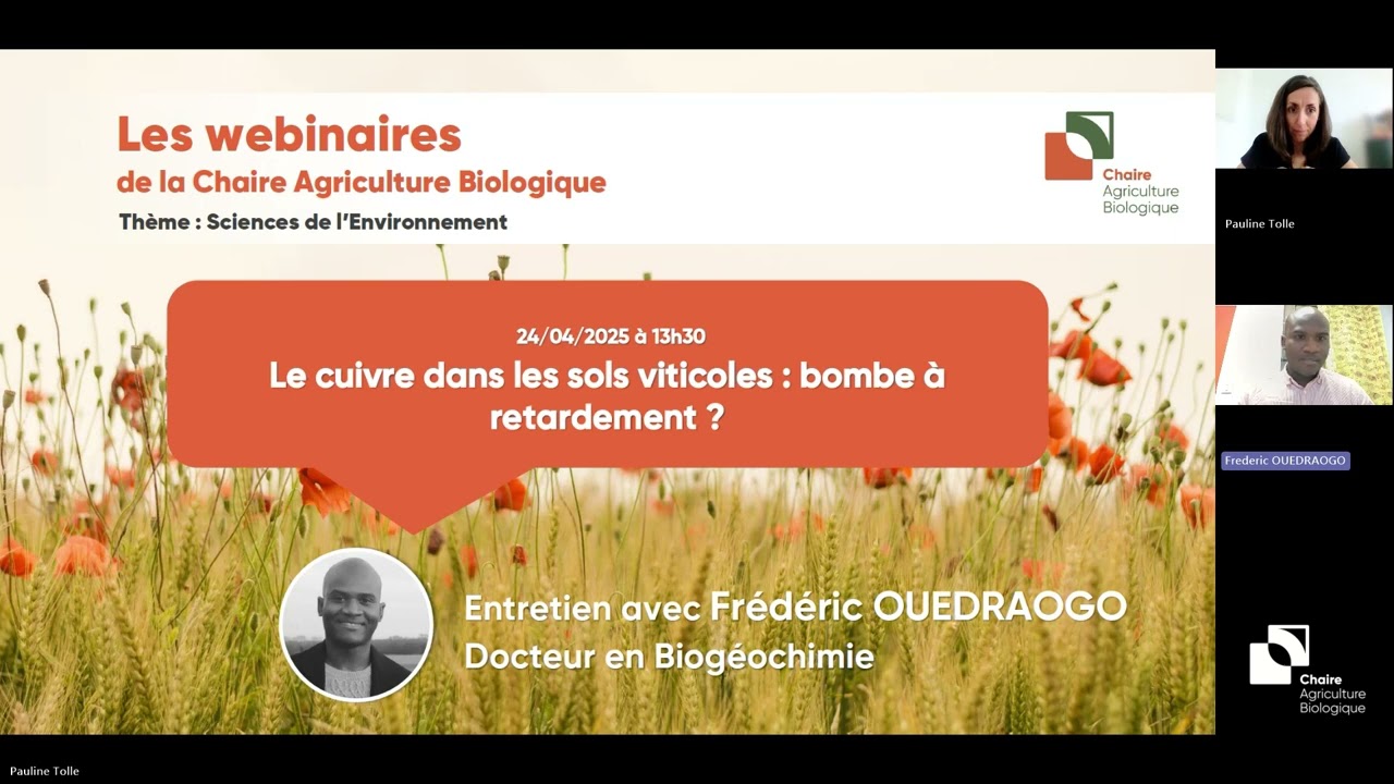 Cuivre dans les sols viticoles : bombe à retardement ? - Entretien avec Frédéric Ouedraogo
