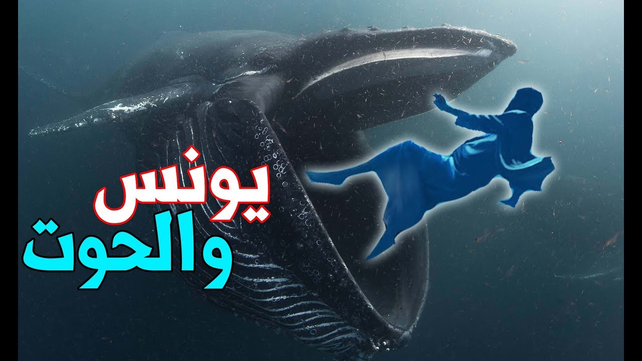 كيف عاش سيدنا يونس في بطن الحوت وما سر الصوت الغريب الذي سمعه وماذا وجد بعد خروجه؟