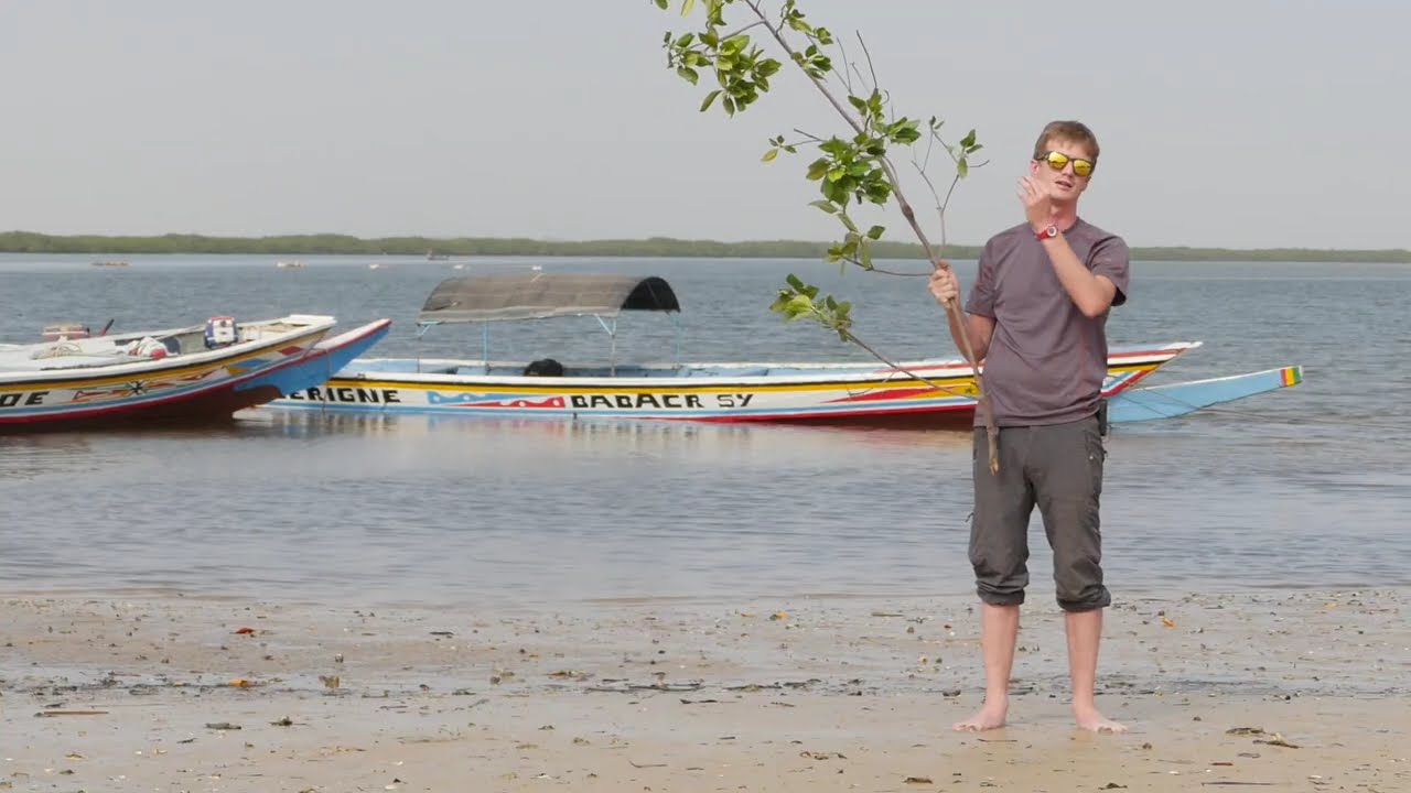Come Usare lo Shutter Speed: Da Principiante a PRO