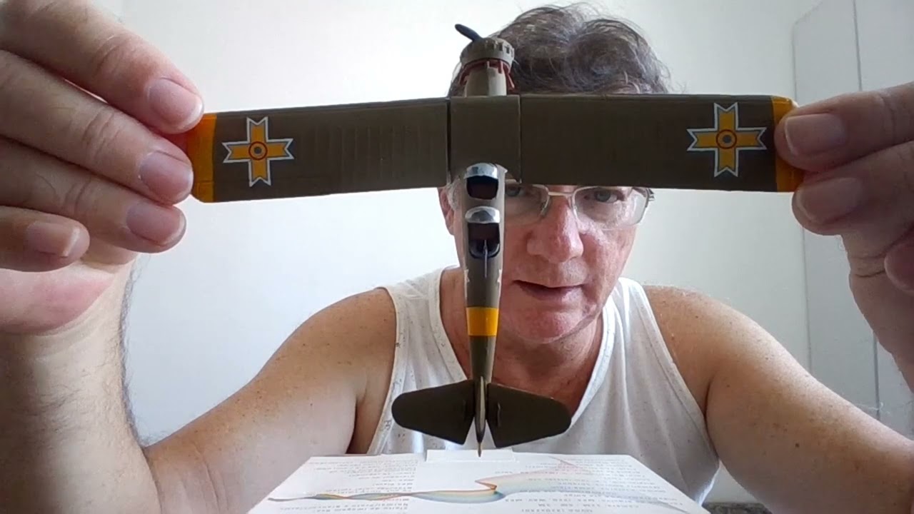 RWD 14b Czapla avião de reconhecimento polonês WWII 2