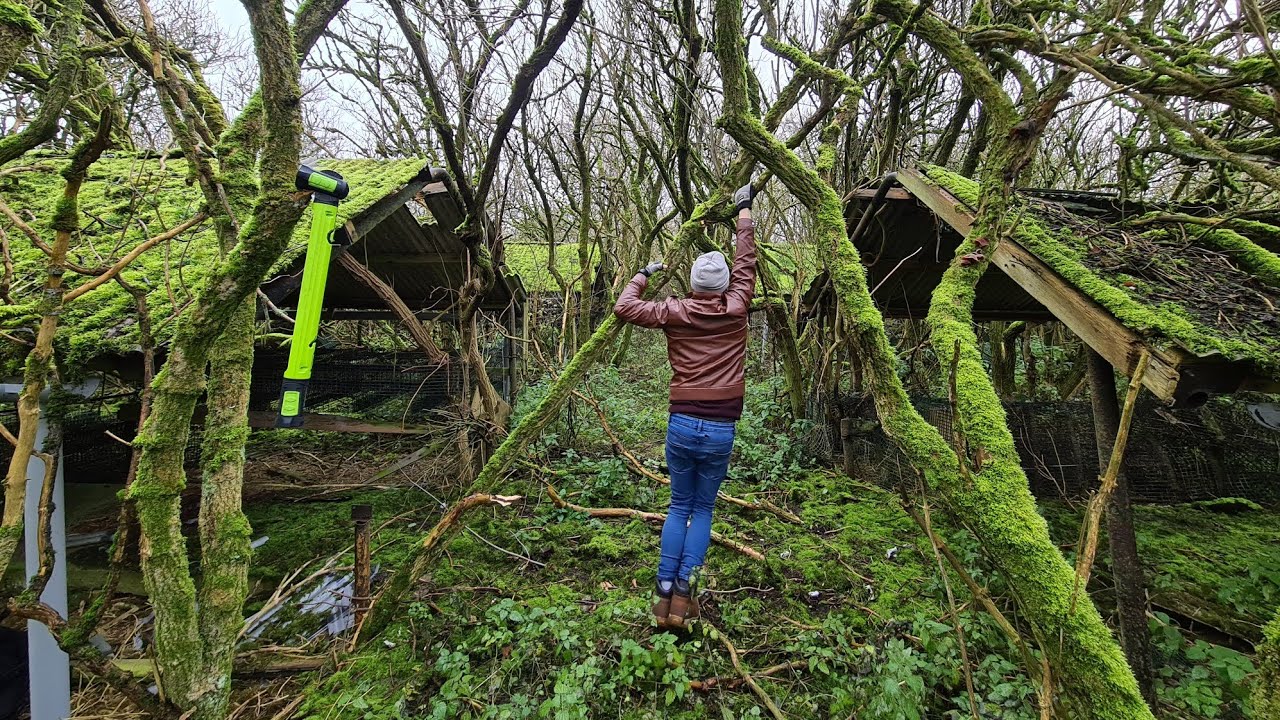 Exploring Abandoned Huge Mink Farm - Elland - Abandoned Places | Abandoned Places UK