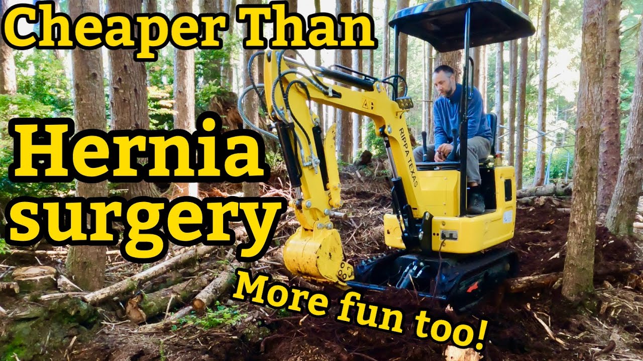 Affordable Chinese Mini Excavator review #Rippa #R319 #miniexcavator