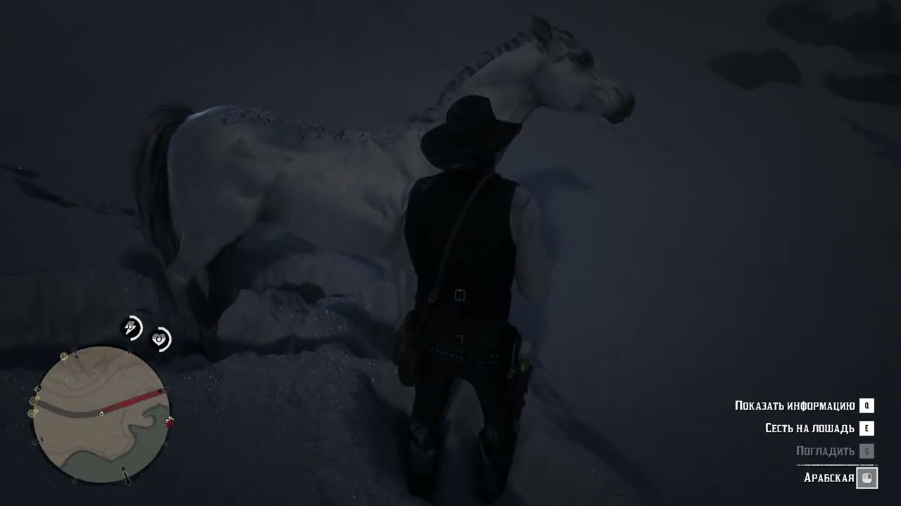 Арабская лошадь RDR2