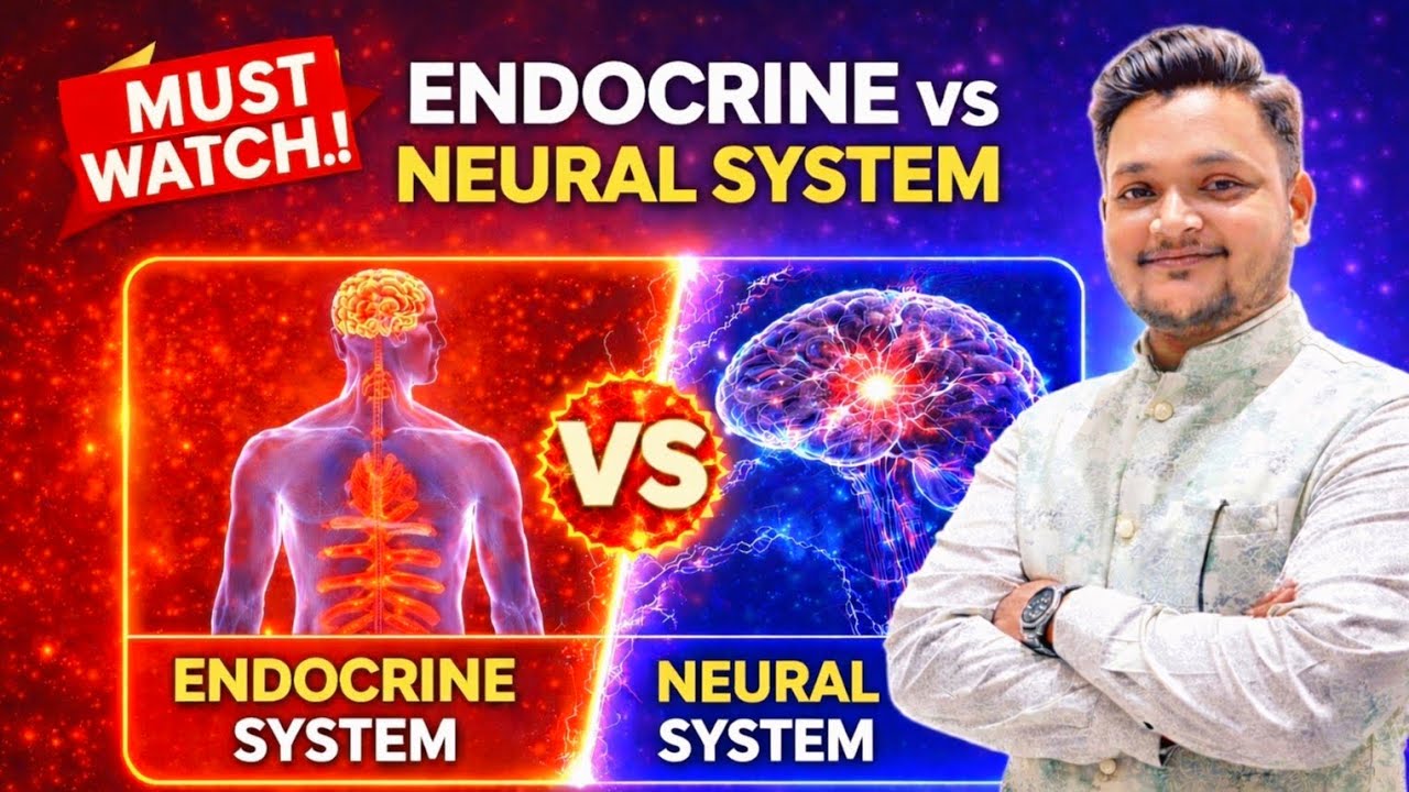 Difference Between Endocrine and Neural System | Class 10, 11 & NEET