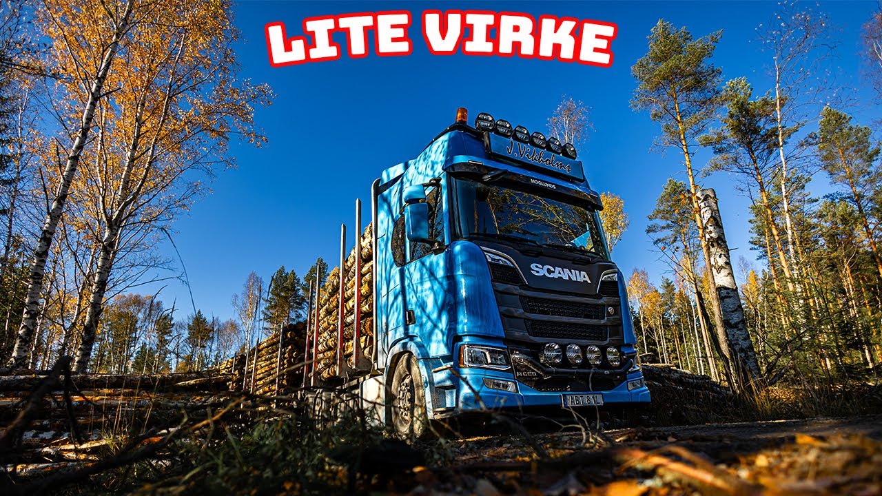 Vi har lite att göra i skogen