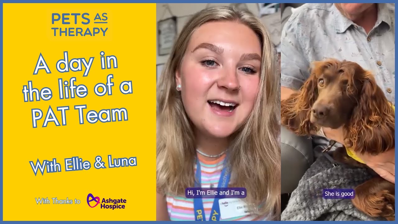 Pets As Therapy volunteer Ellie & Luna -  a day in the life