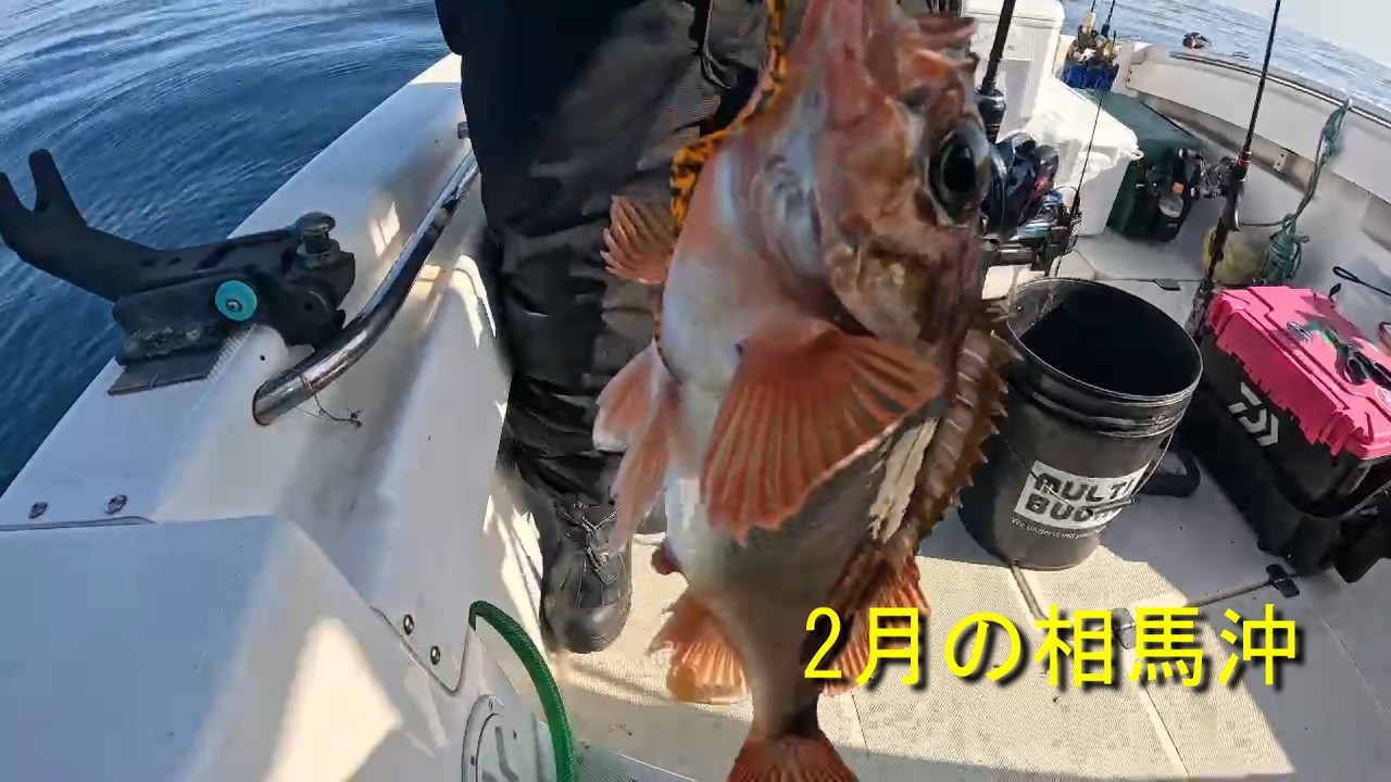 2月激渋リベンジ釣行㏌相馬沖
