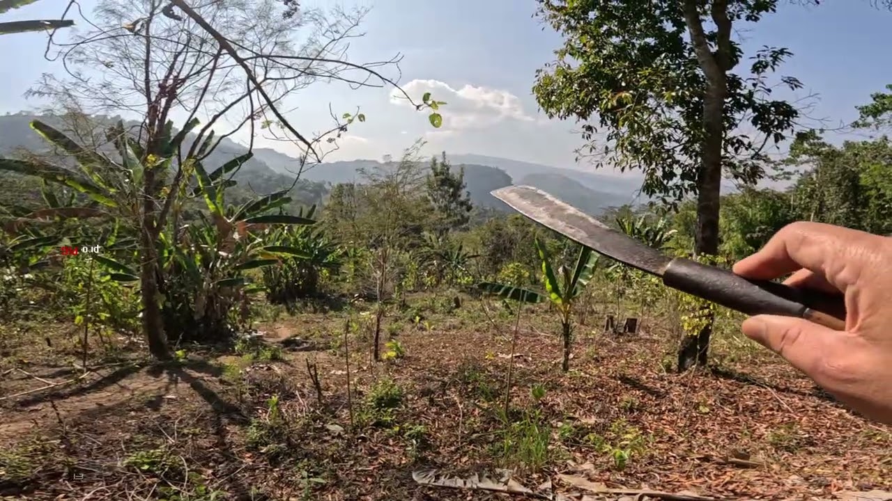 HUAN KAL CUM CHAW EI | JANUARY 26 2026