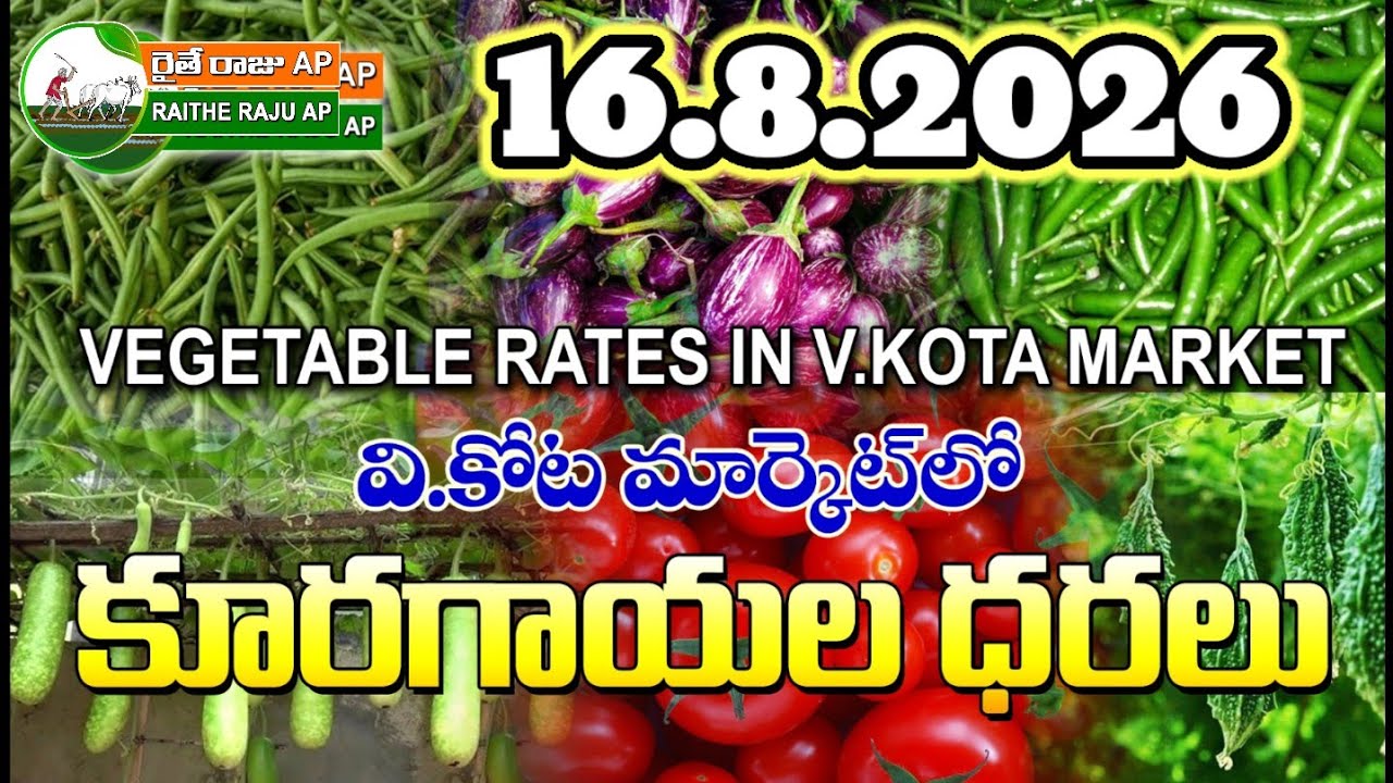 #AMC V.KOTA TODAY BEANS PRICE IN MARKET #ALL VEGETABLE PRICES #marigold 