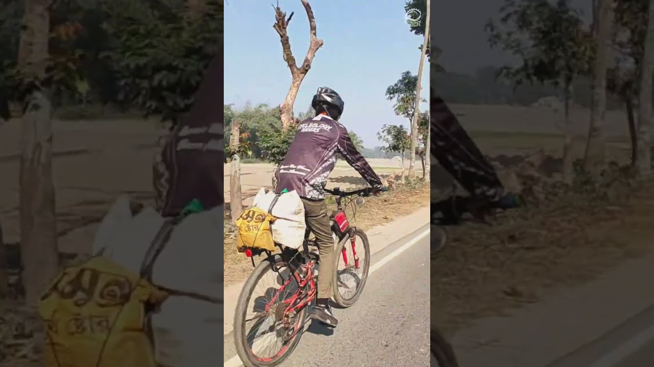 Cycle Travel Is Love 