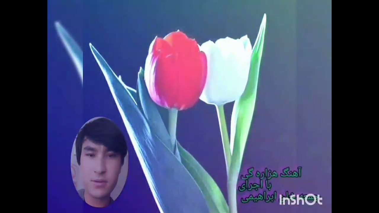 خدمت شما آهنگ هزارگی 