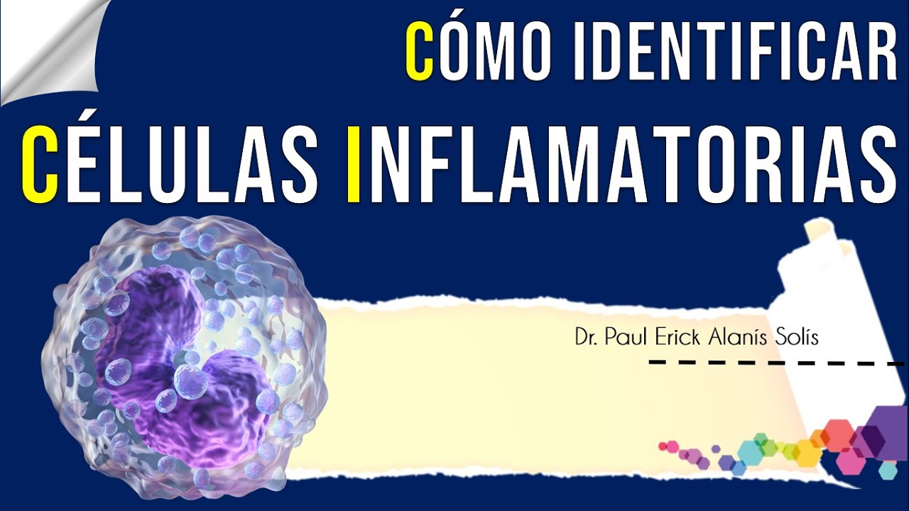 ¿Cómo identificar células inflamatorias al microscopio óptico?