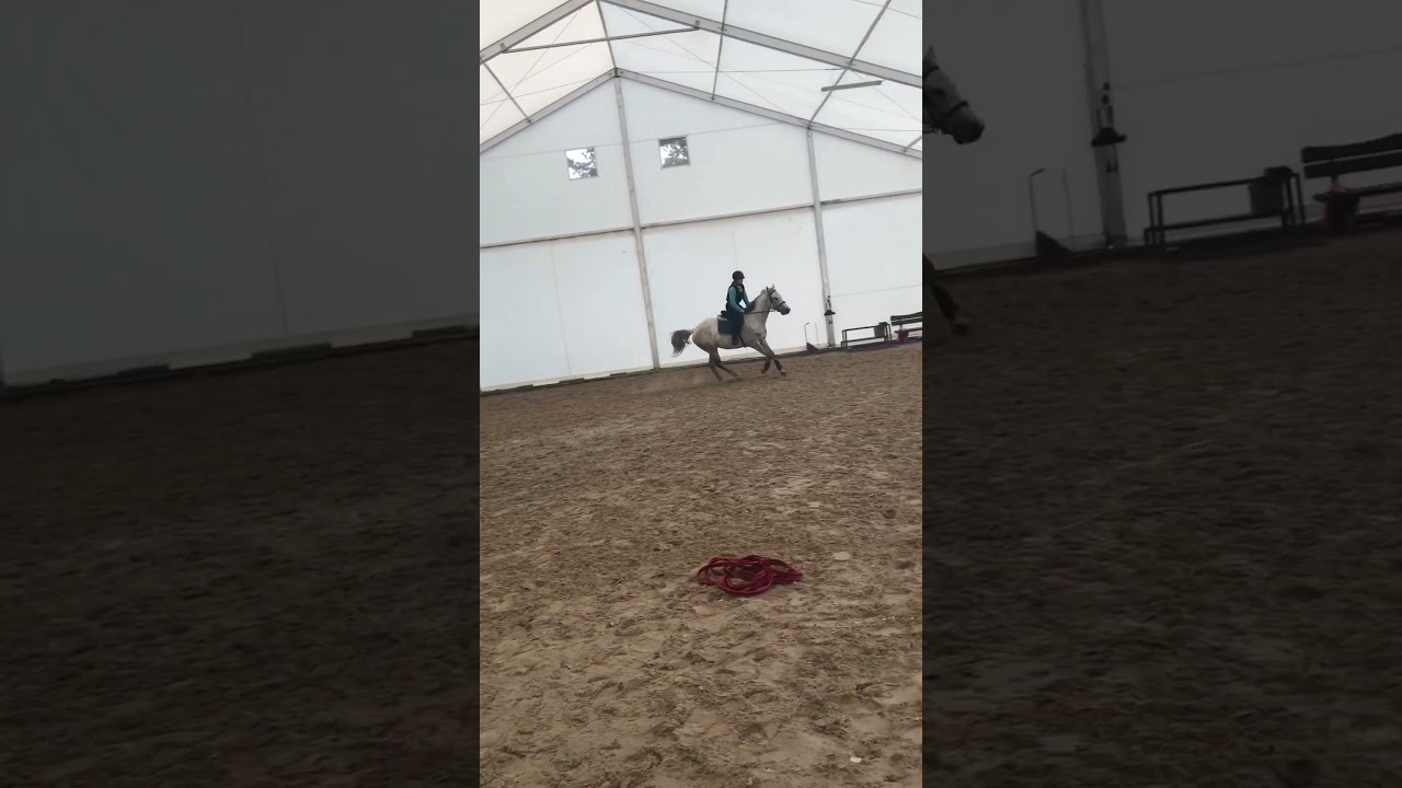 Upadek z konia 😥 (gleba)
