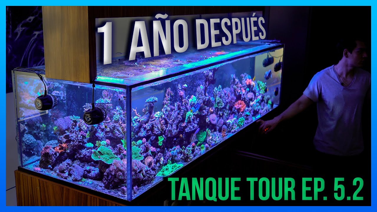 De DOS tanques a UNO SOLO!  - TANQUE TOUR EP. 5.2 / Julio Riestra 1 año después