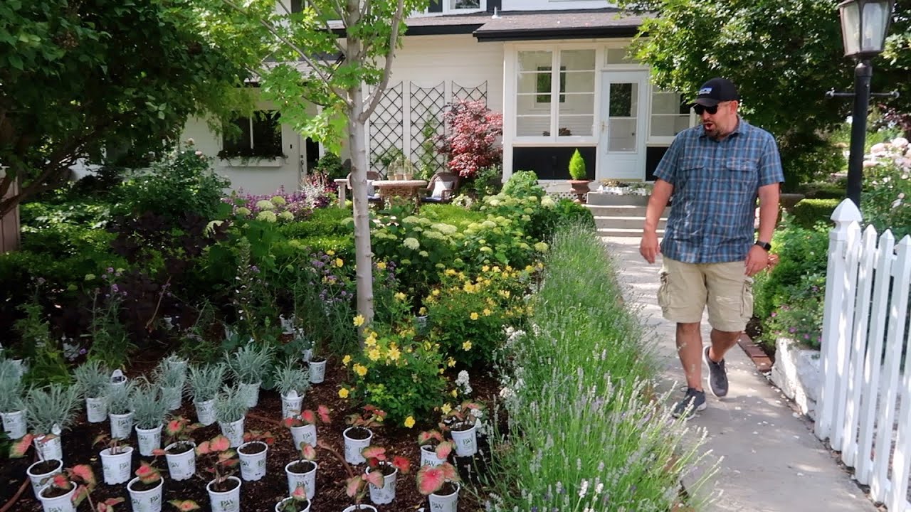 Even Aaron was Surprised by the Amount of Plants! 😆🥰🙌// Garden Answer
