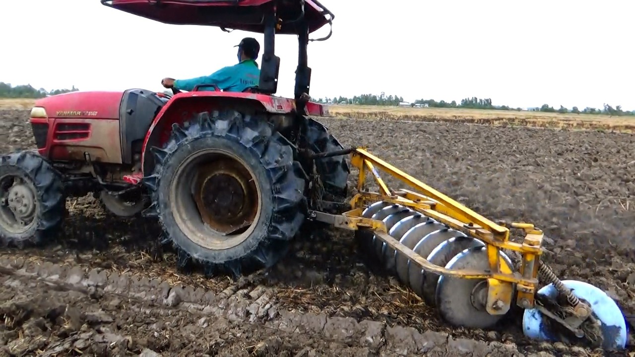 Máy cày Yanmar 514 cày đất quá sướng mạnh như trâu điên