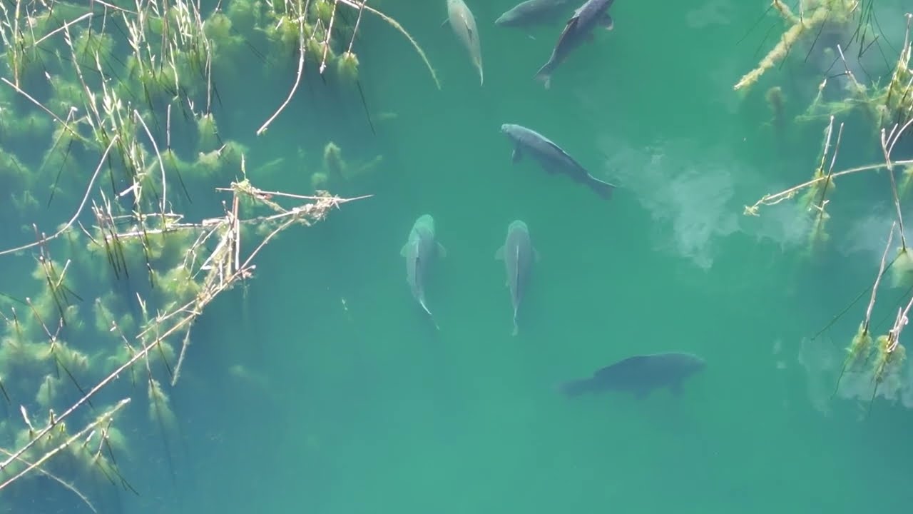 Some chunks from above at Tilts Bridge Community Pond
