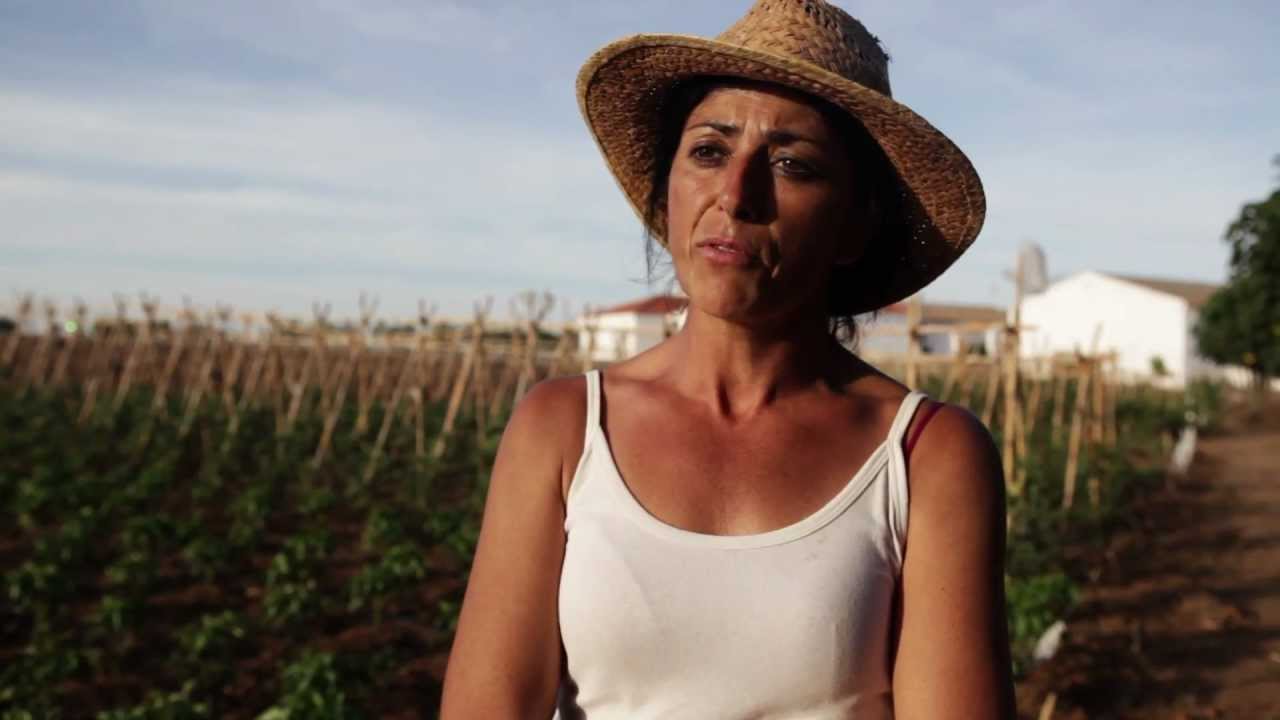 Entrevista a Lola Álvarez sobre la ocupación de Somontes.mp4