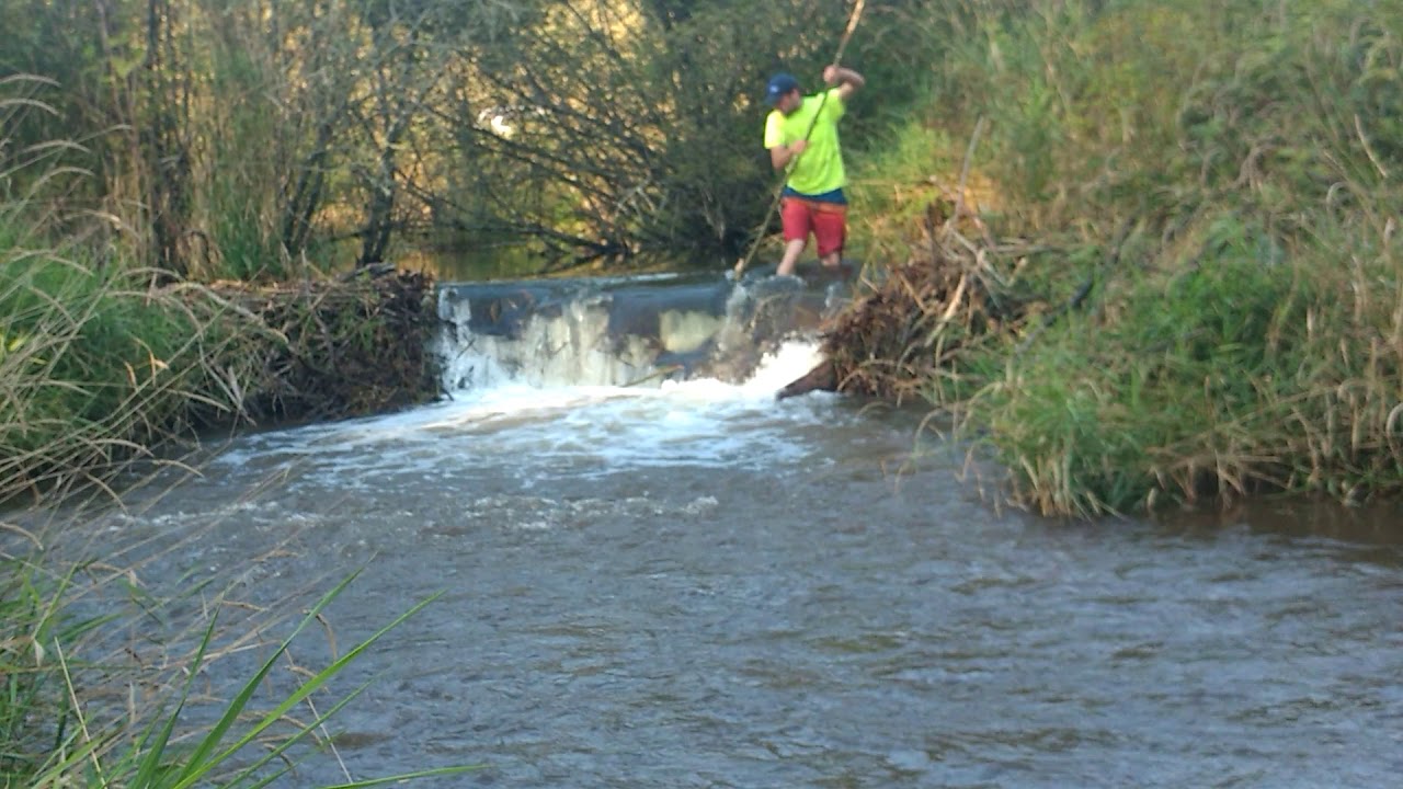 Zach's Beaver dam.