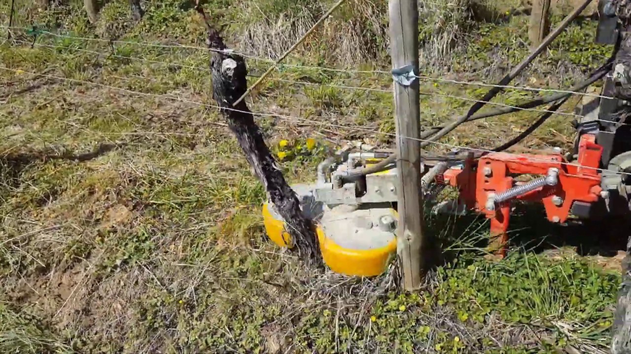 Under vine mower , Unterstockmulcher , faucheuse intercep , weeds control , rasaerba interfilare .