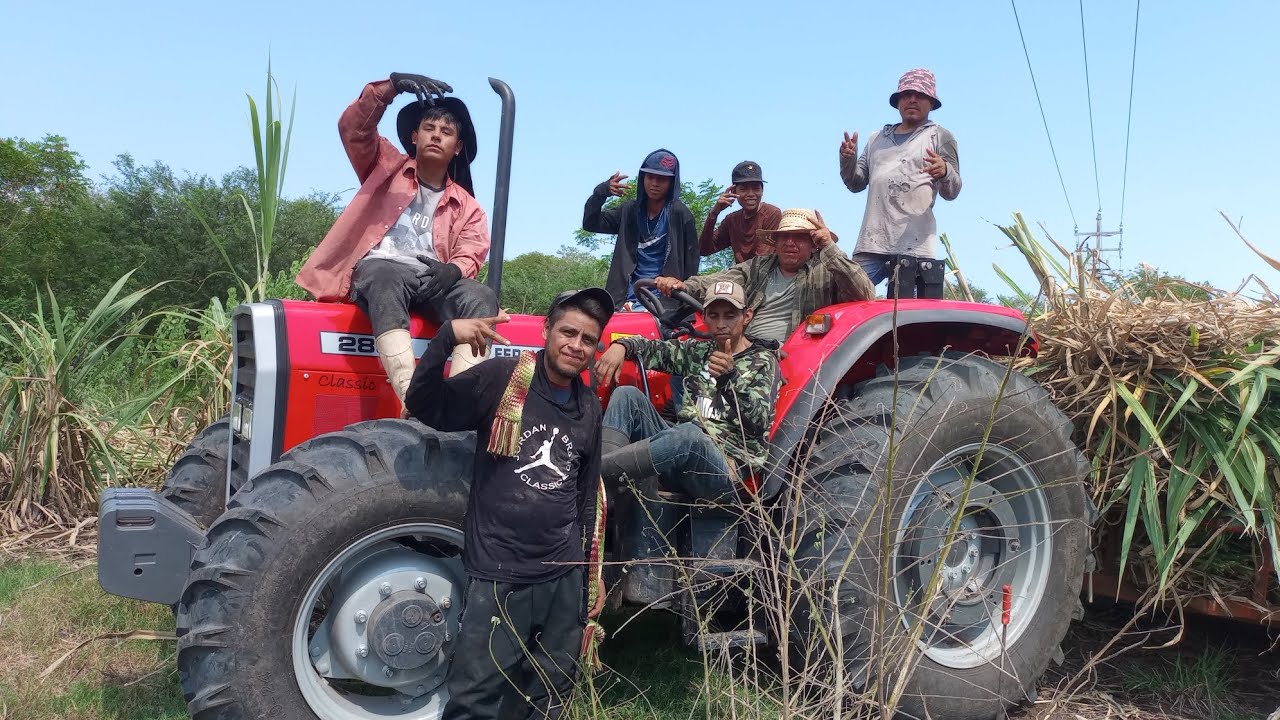 15 toneladas de caña en 1 ectaria sacas 120 toneladas