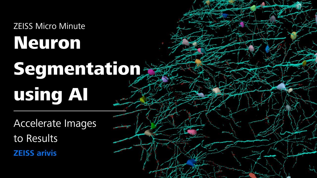 Neuron Segmentation using AI and arivis | Image Analysis | ZMCC Live Demo | Episode 6