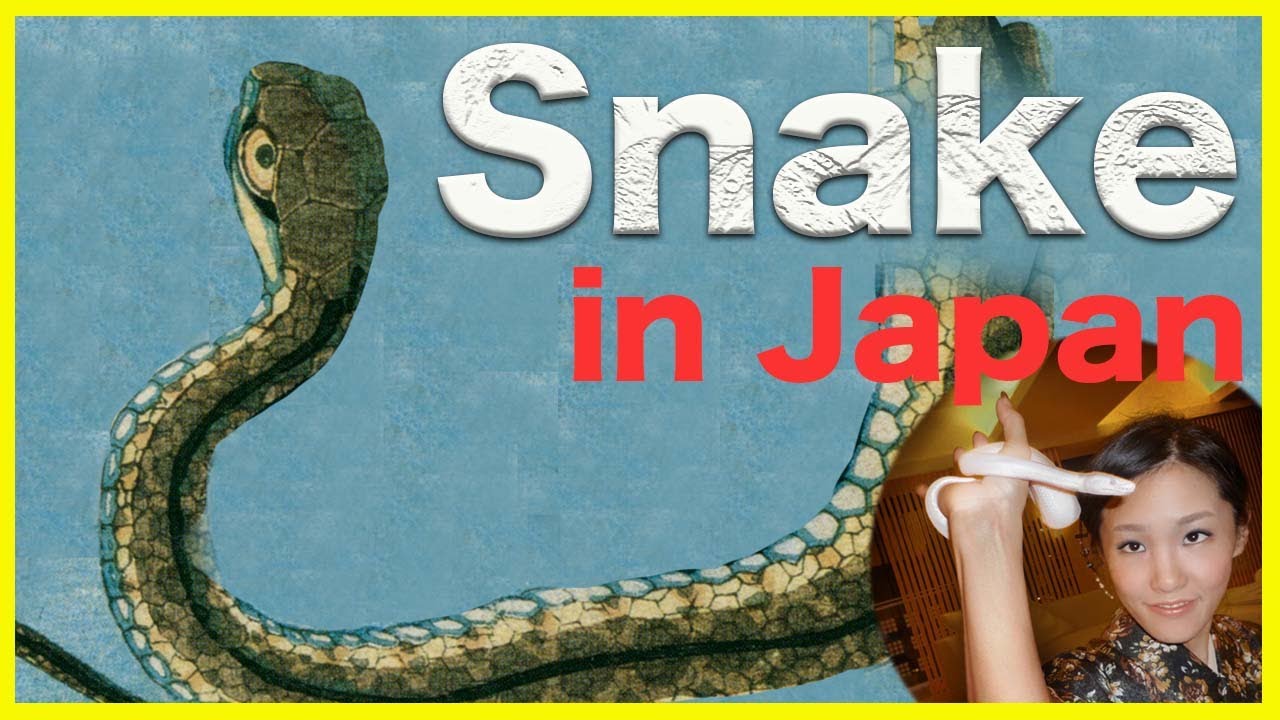 Snake in Japan