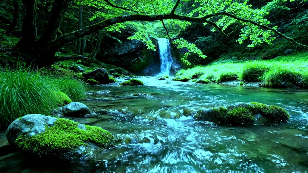 asmr relaxing sounds to rest the mind, stress, anxiety to sleep