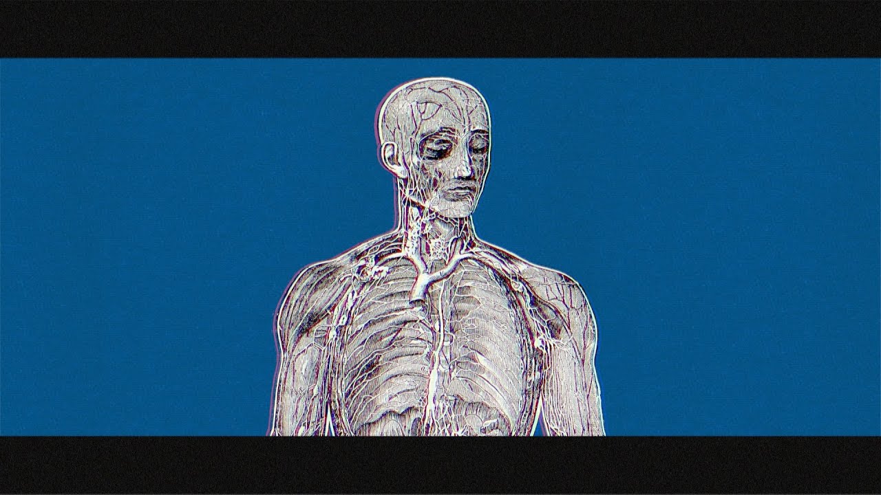 Se - 陰獣 feat.初音ミク