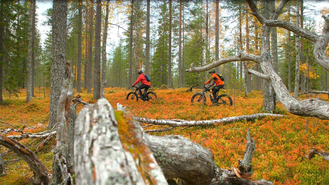 Sininen saavutus, 50 km, MTB-reitti - Hossan kansallispuisto