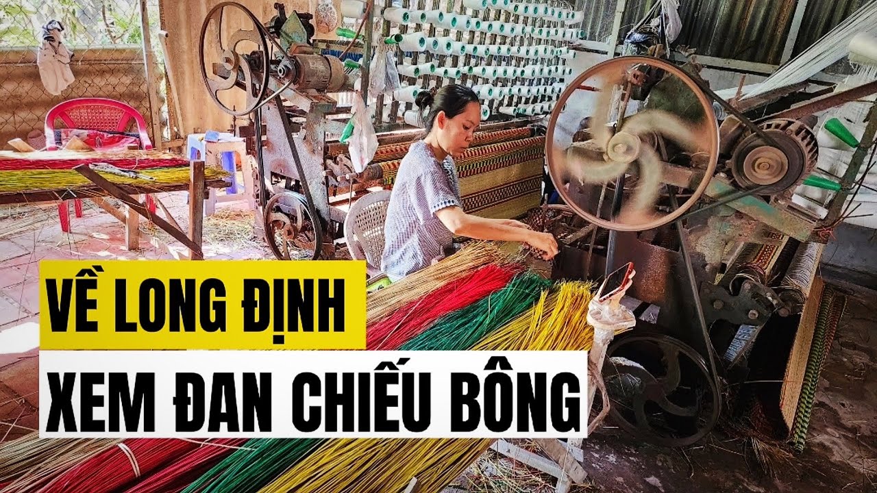 Về Long Định xem đan chiếu bông