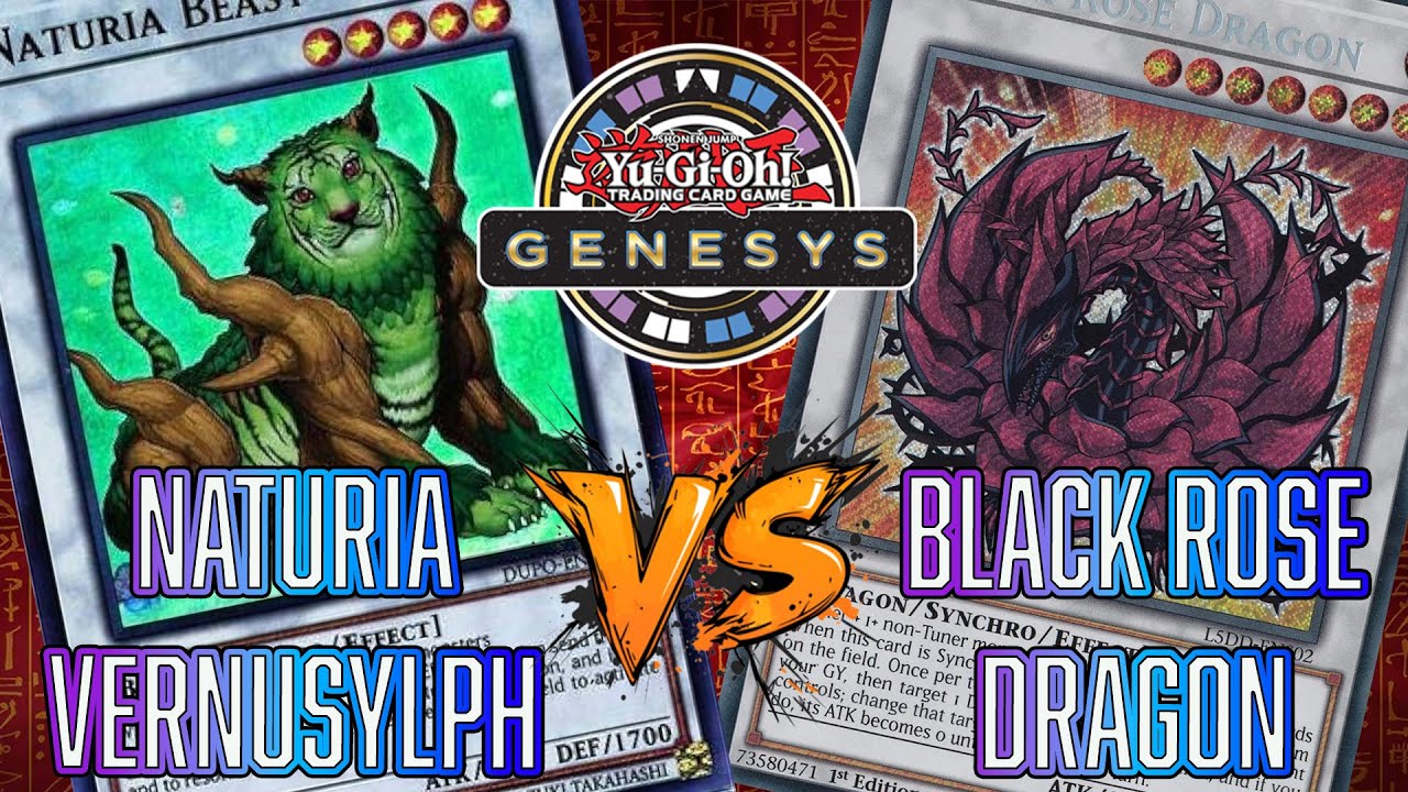 Yu-Gi-Oh! Naturia Vernusylph VS Black Rose Dragon Genesys Duel