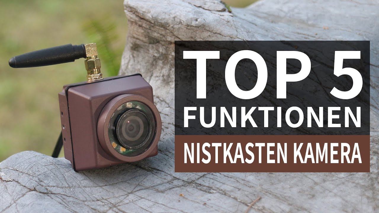 Top 5 Funktionen der Vogelhaus kamera