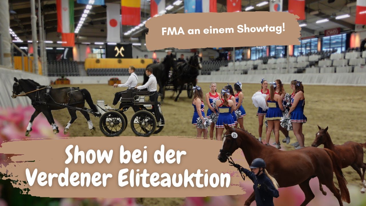 FMA Showtag bei der Eliteauktion in Verden