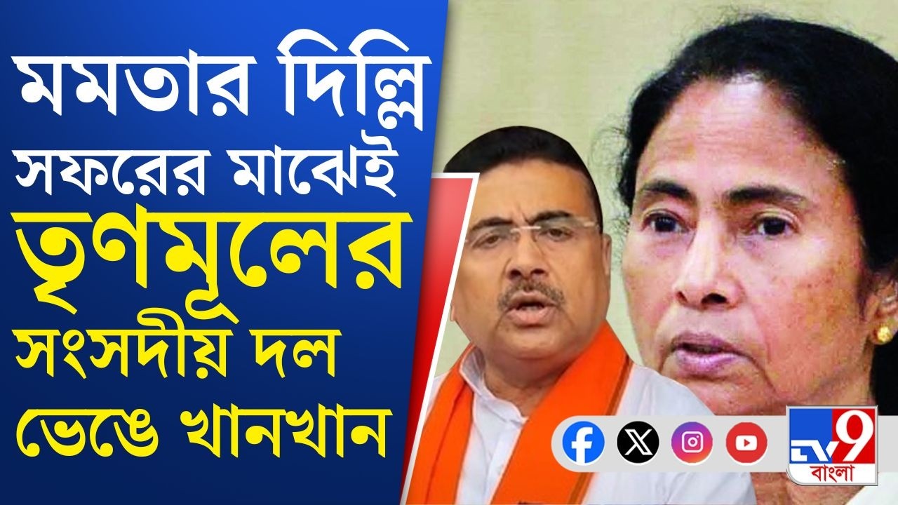 BIG Breaking, TMC Parliamentary Party: বিজেপিতে না গিয়েই NDA শরিক হচ্ছেন ২০ জন তৃণমূল সাংসদ
