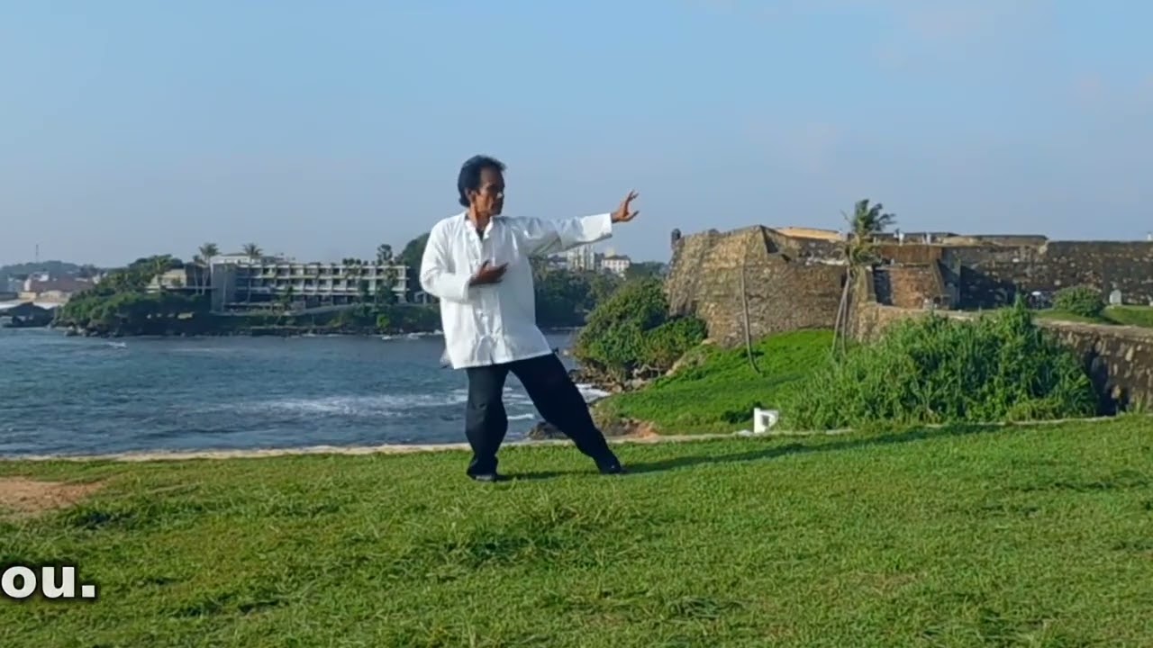 Kungfu/Qi gong/Tai chi with jiujitasu සටන්කලා  පංති දිවයින පුරා 0776641393.