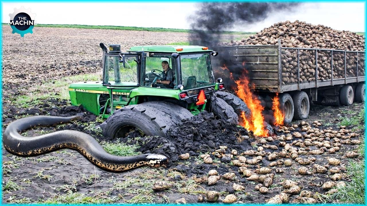 Dangerous Transport Tractor Stuck & Biggest Heavy Equipment Machines | Heavy Machinery
