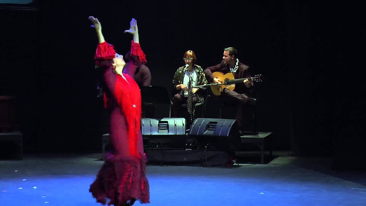 Escuela de danza Rocio Pozo-RESUMEN espectáculo flamenco en DVD