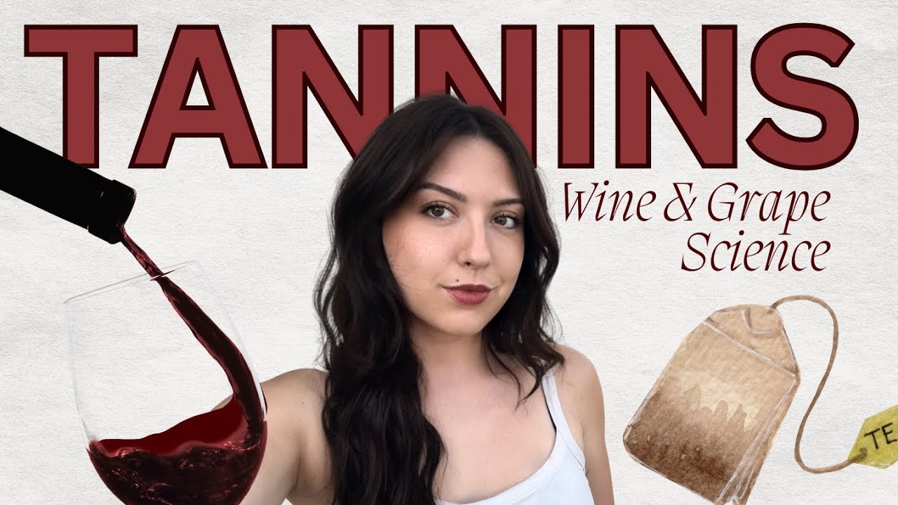 Wine Tannins Explained (Everything you need to know)