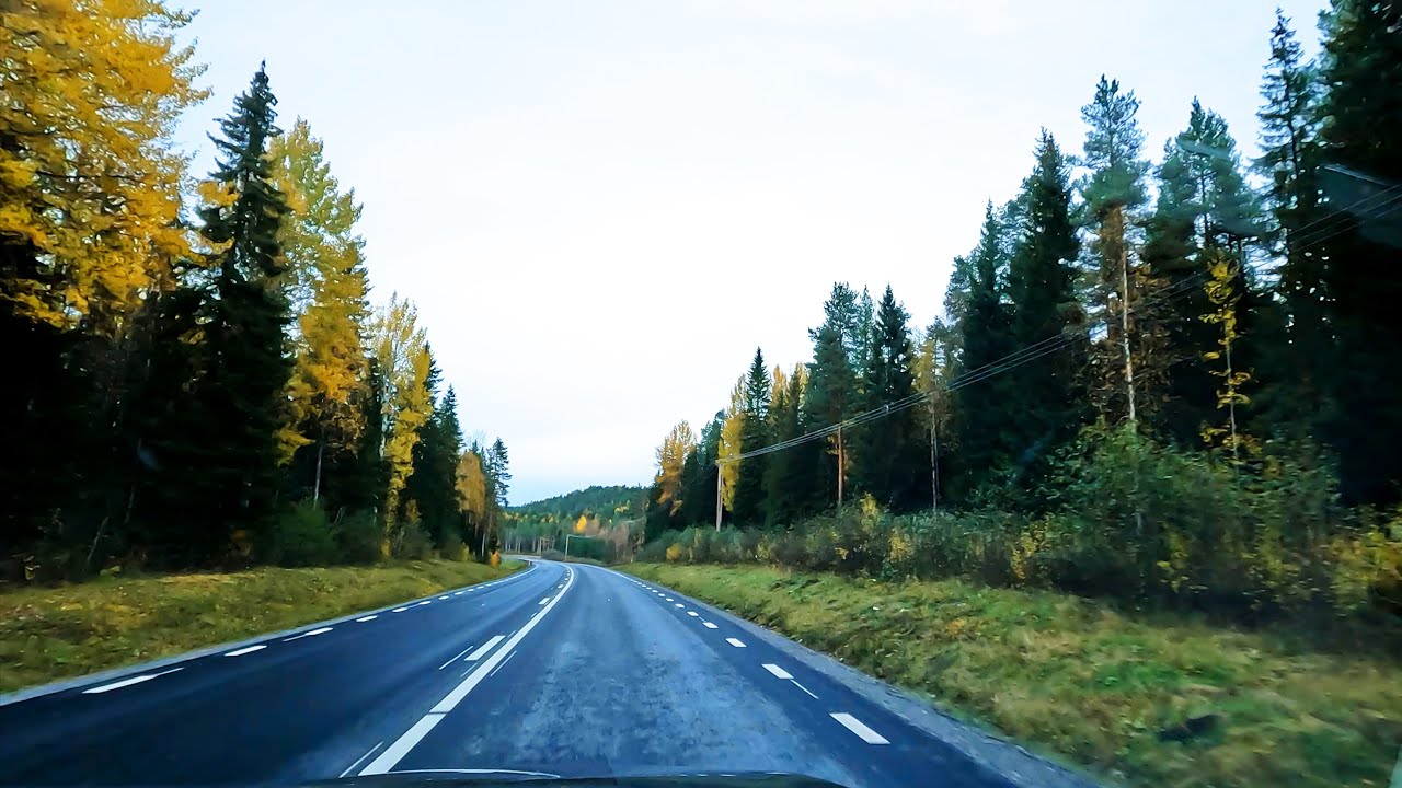 E12, Umeå to Lycksele. No talking, no music. September 2023.
